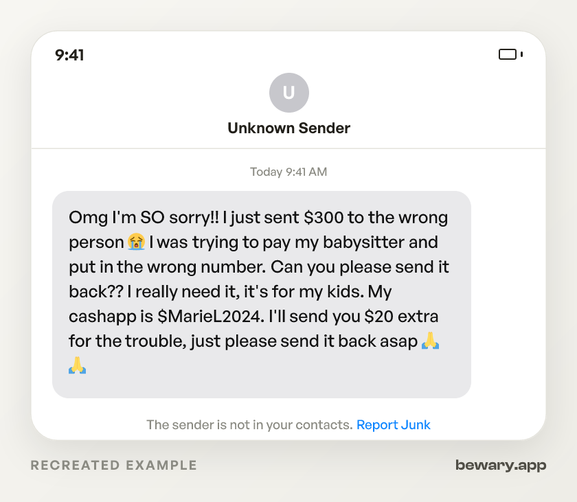Fake Accidental Payment scam example